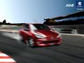 ����206�Ŷ���