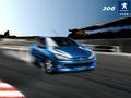 ����206�Ŷ���