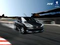 ����206�Ŷ���