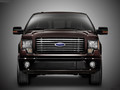 2010F-150-Sɭ