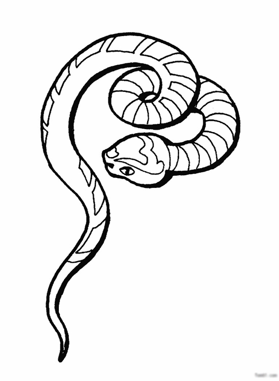 【大图】蛇的简笔画_简笔画