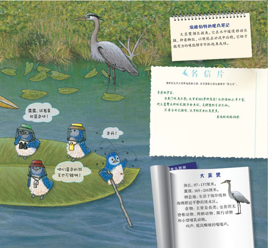 《蓝色乐团观鸟之旅》之狂野海岸历险记精彩连载