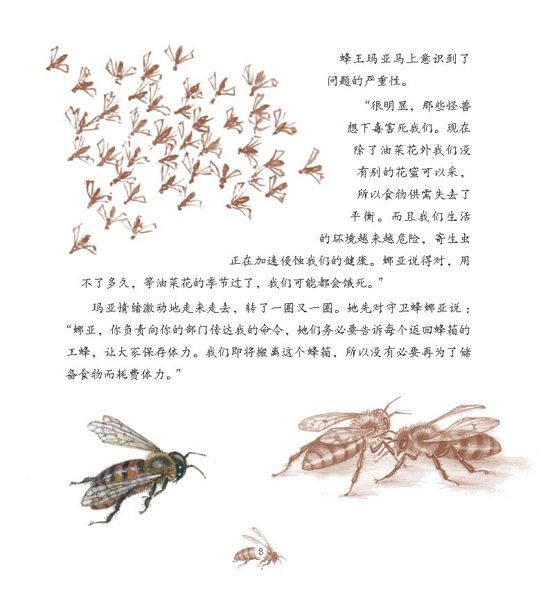 《大自然的故事科学童话》之最后一个蜂群绘本连载