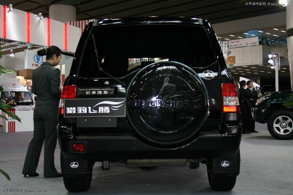 飛騰車(chē)展高清大圖